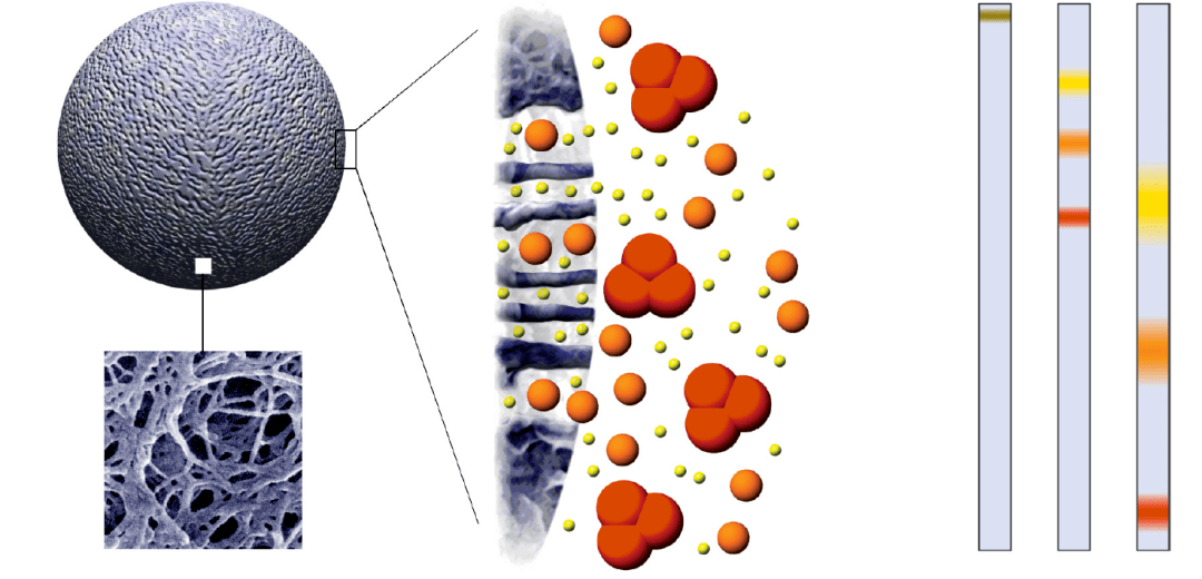 退退退!纯化实验八大常见问题<strong></p>
<p>IEX</strong>,一文全给整明白了!