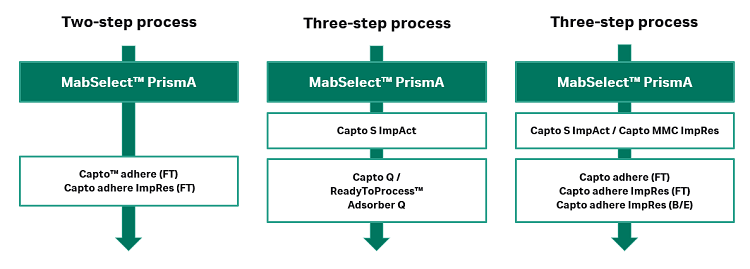 退退退!纯化实验八大常见问题<strong></p>
<p>IEX</strong>,一文全给整明白了!