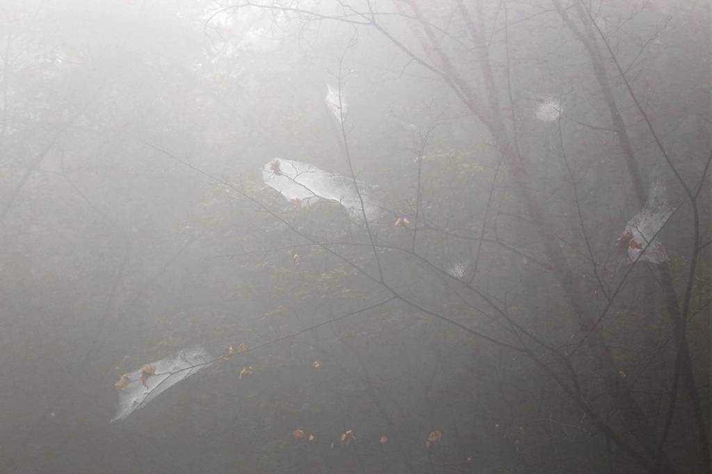 网呀网<strong></p>
<p>多币网</strong>,说不清的网