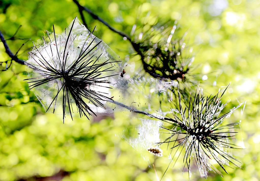 网呀网<strong></p>
<p>多币网</strong>,说不清的网