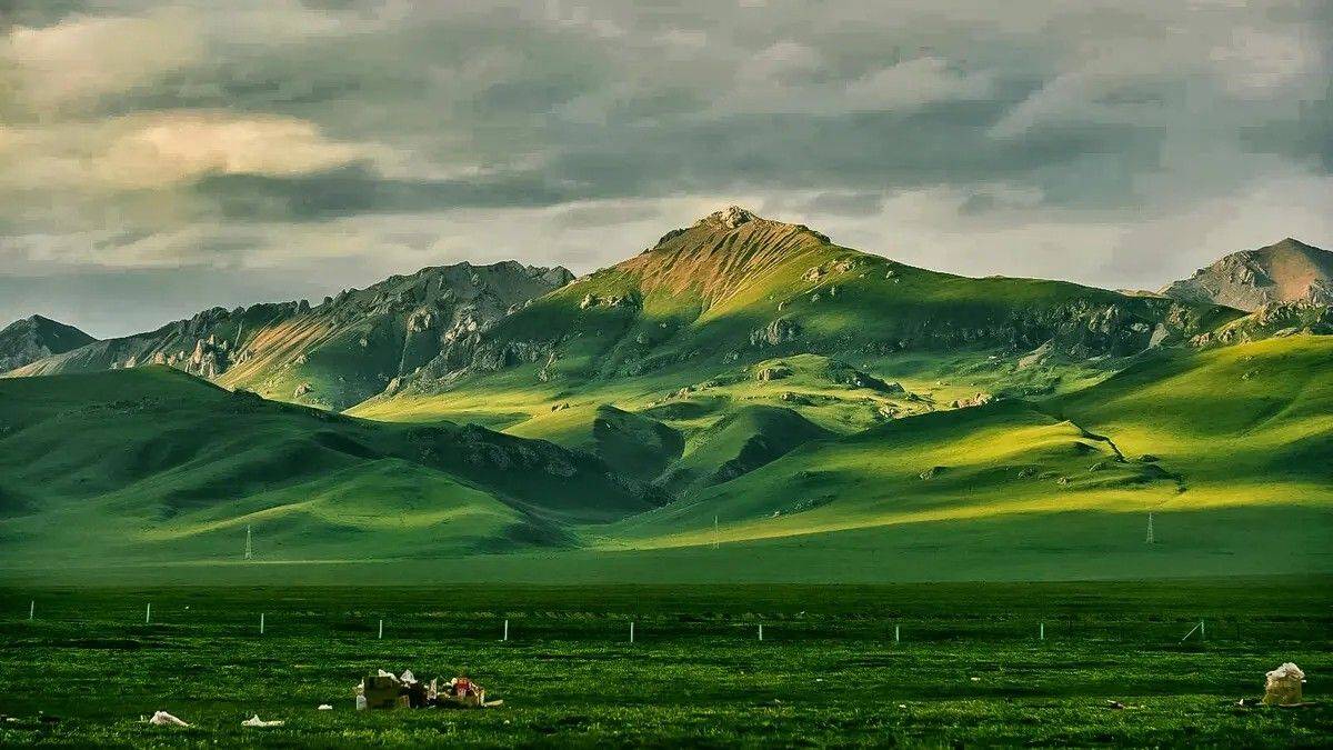 预约难度拉满<strong></p>
<p>满币</strong>,新系列纪念币又有增发?虎币只有32万人能约到