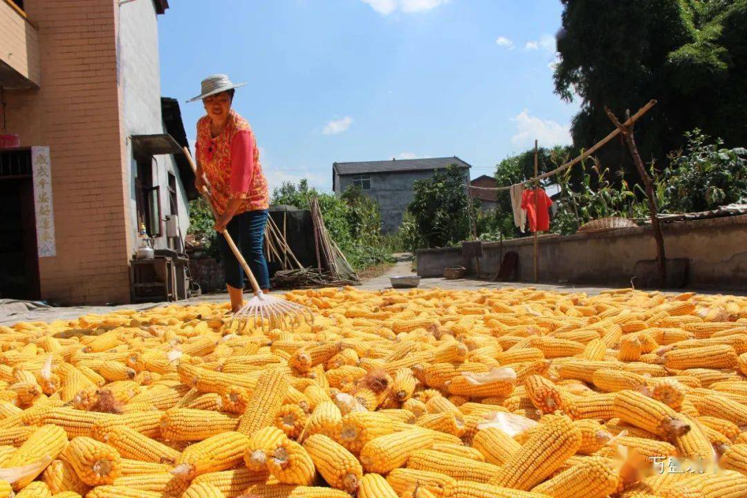 盛视 | 万盛<strong></p>
<p>铭盛</strong>,安好!