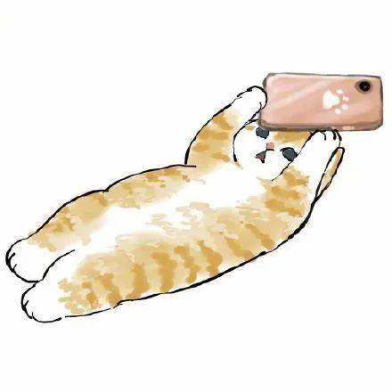 奇谭俱乐部 x Mofusand炸虾猫<strong></p>
<p>Exmo</strong>，捕获爱猫人士的心！