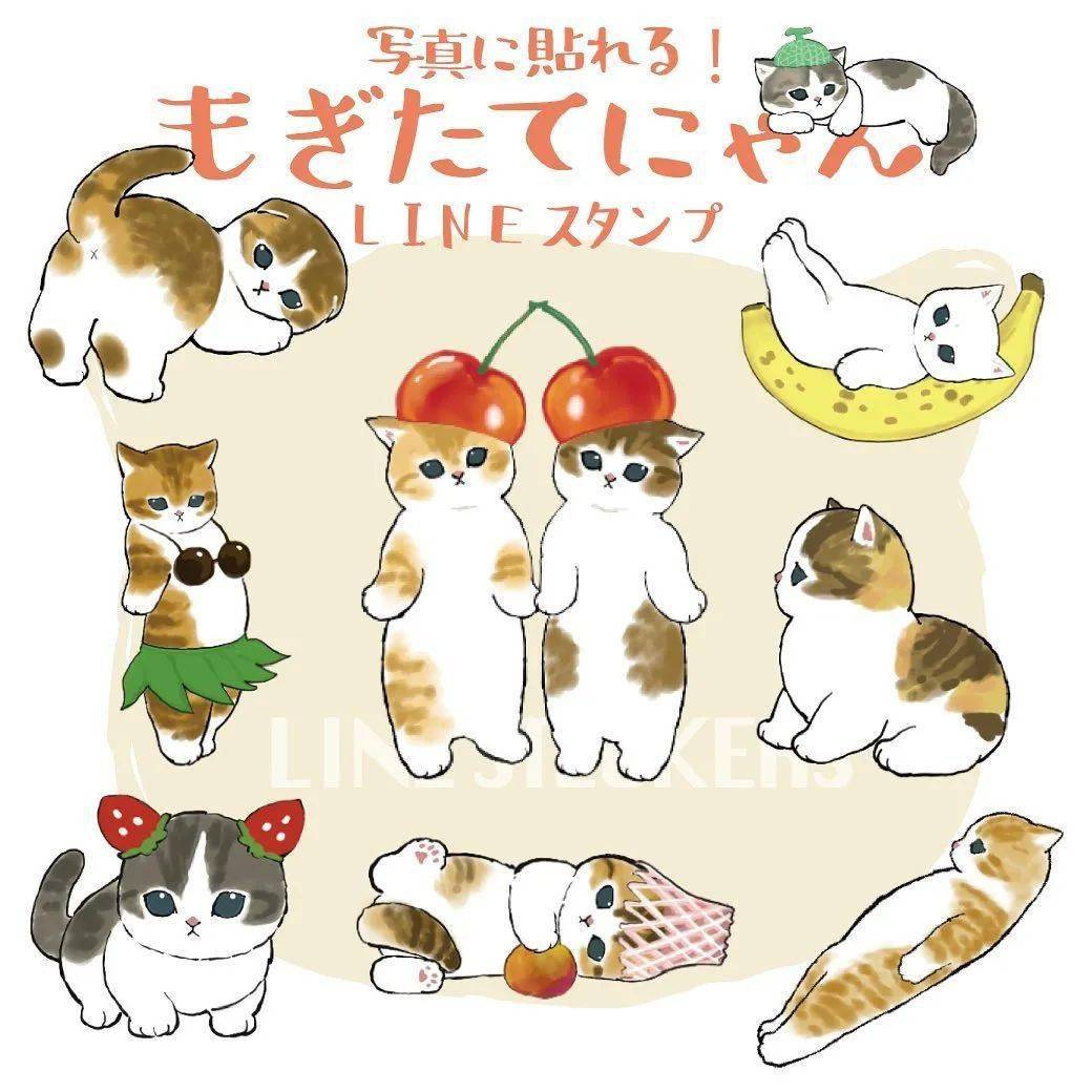 奇谭俱乐部 x Mofusand炸虾猫<strong></p>
<p>Exmo</strong>，捕获爱猫人士的心！