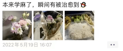 震惊<strong></p>
<p>VBITEX</strong>!与宿舍楼亲密共处8天的Biter竟是这样的......