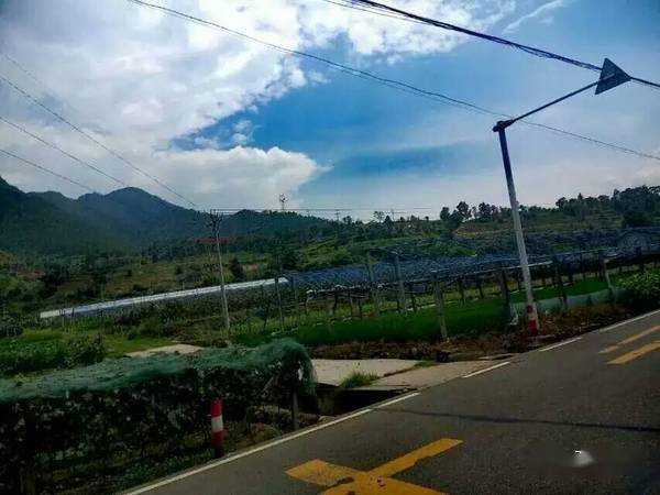 9男4女<strong></p>
<p>Kmex</strong>,骑行1900km!