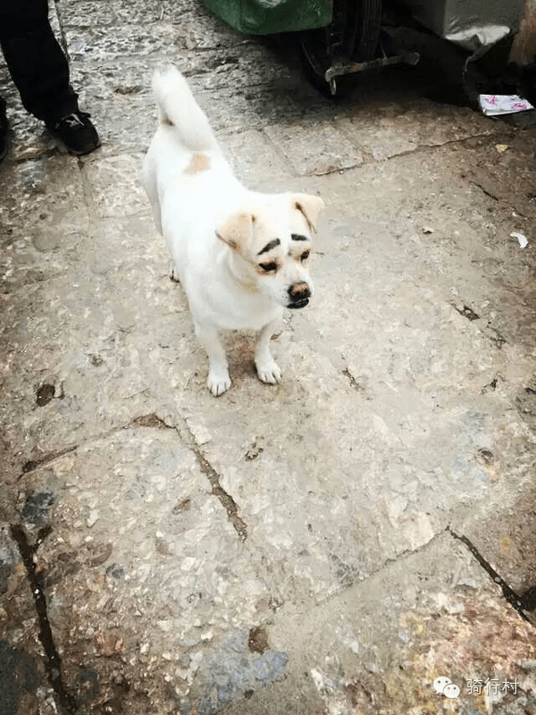 9男4女<strong></p>
<p>Kmex</strong>,骑行1900km!