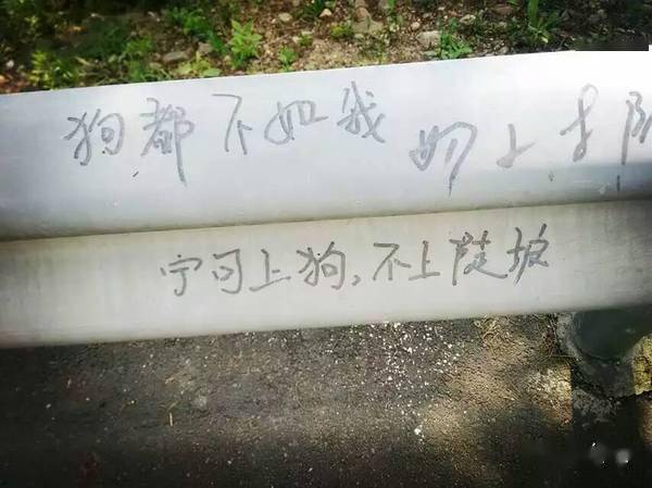 9男4女<strong></p>
<p>Kmex</strong>,骑行1900km!