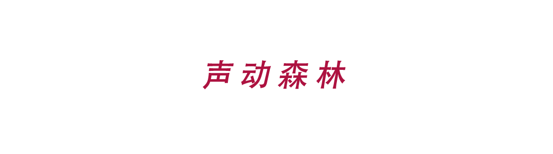 DJD design 分享 | didididi…这是来自“现代首尔”的未来回声