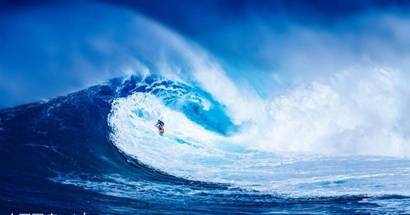 八字正格和从格有什么区别，从格是什么意思？