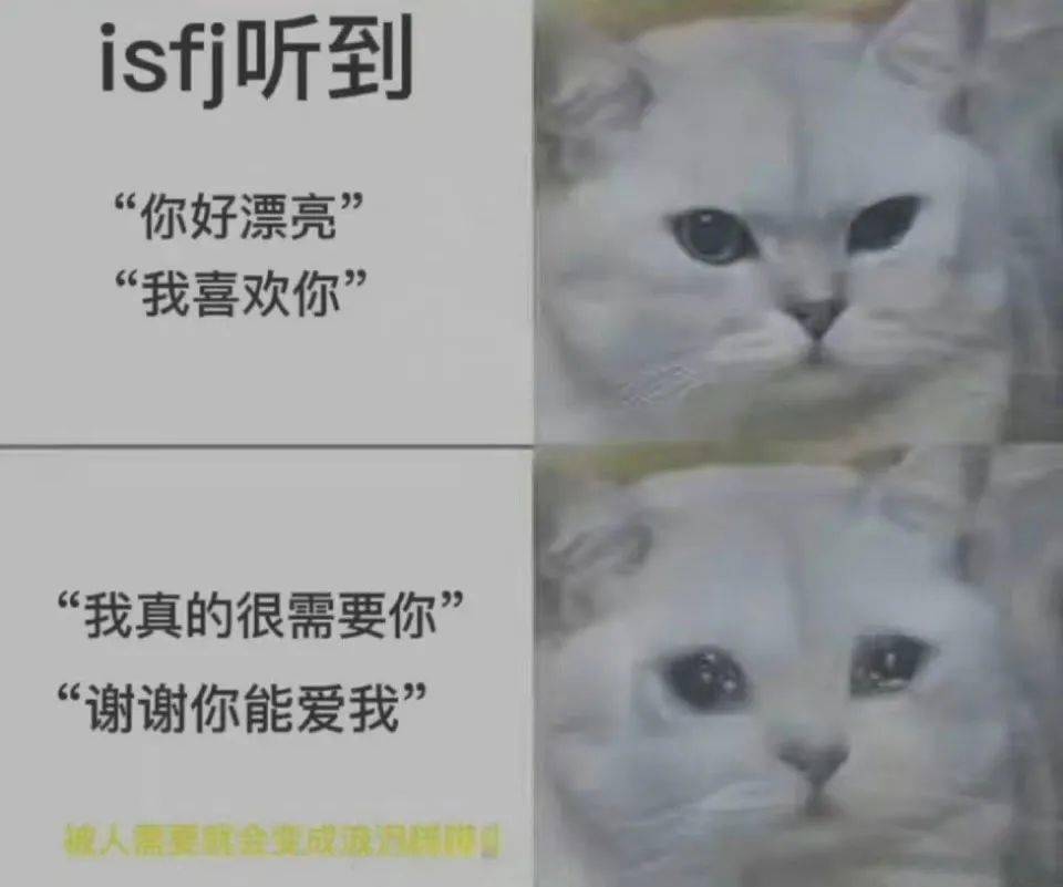 爱在“520” | 16种MBIT<strong></p>
<p>Bitget</strong>,都在说“我爱你”