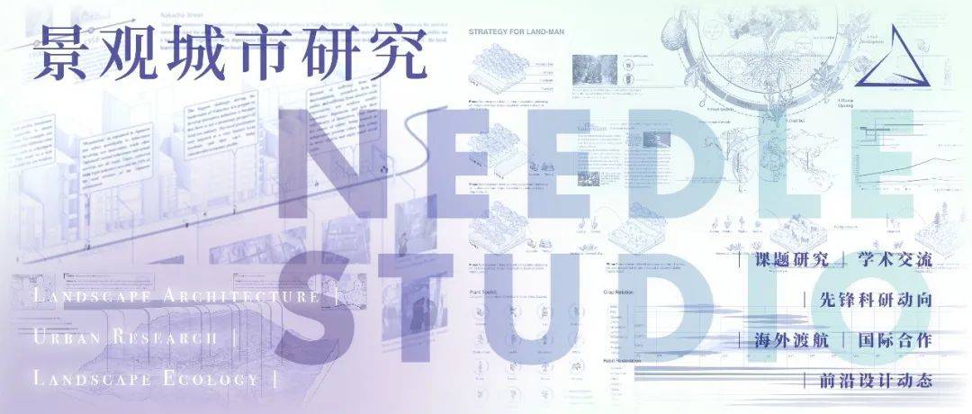 Recreate the Oasis民勤绿洲的荒漠化防治|Needle 2022成果展|Needle项目分享