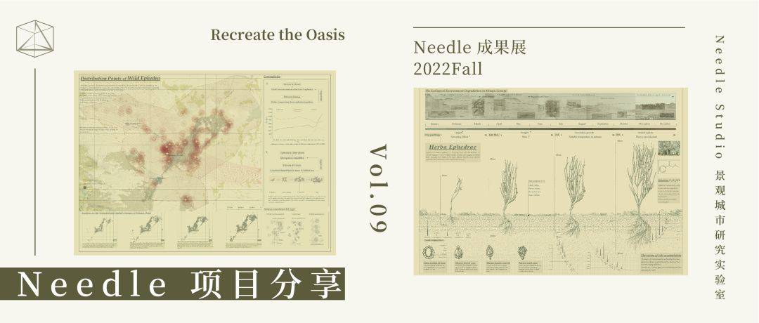Recreate the Oasis民勤绿洲的荒漠化防治|Needle 2022成果展|Needle项目分享