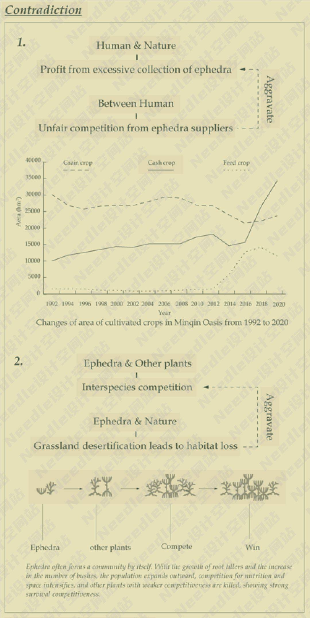 Recreate the Oasis民勤绿洲的荒漠化防治|Needle 2022成果展|Needle项目分享