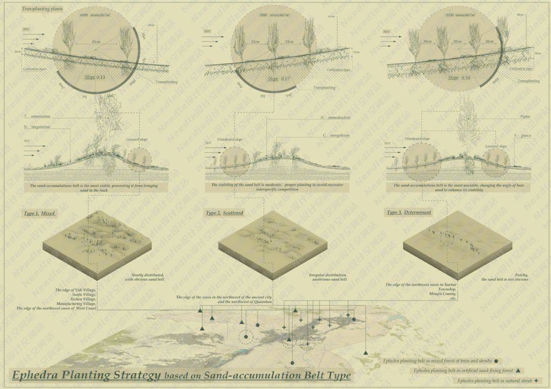 Recreate the Oasis民勤绿洲的荒漠化防治|Needle 2022成果展|Needle项目分享