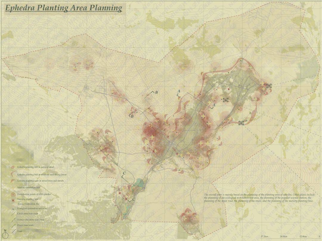 Recreate the Oasis民勤绿洲的荒漠化防治|Needle 2022成果展|Needle项目分享