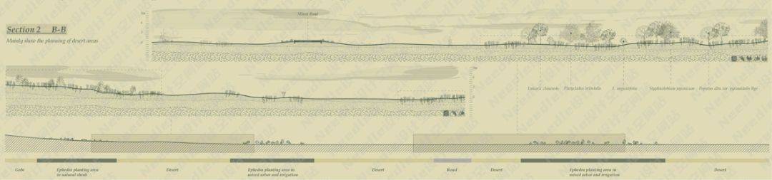 Recreate the Oasis民勤绿洲的荒漠化防治|Needle 2022成果展|Needle项目分享