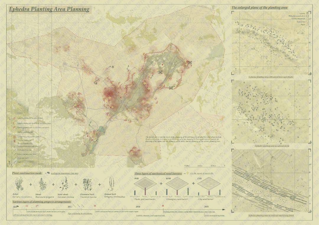 Recreate the Oasis民勤绿洲的荒漠化防治|Needle 2022成果展|Needle项目分享