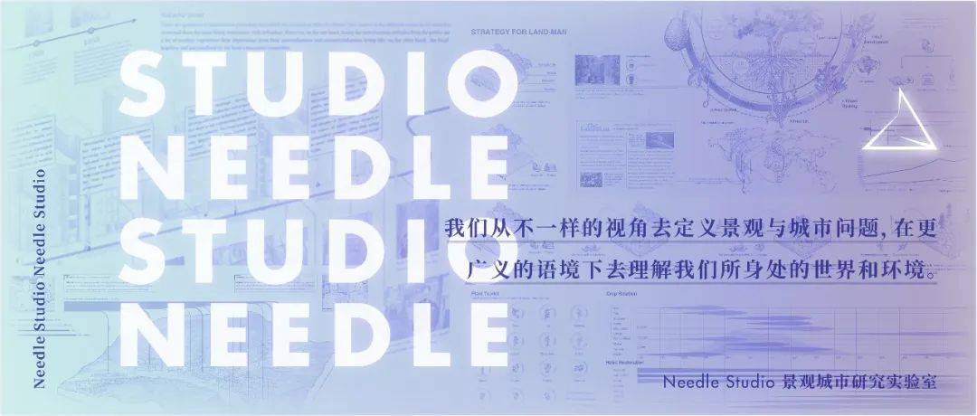 Recreate the Oasis民勤绿洲的荒漠化防治|Needle 2022成果展|Needle项目分享
