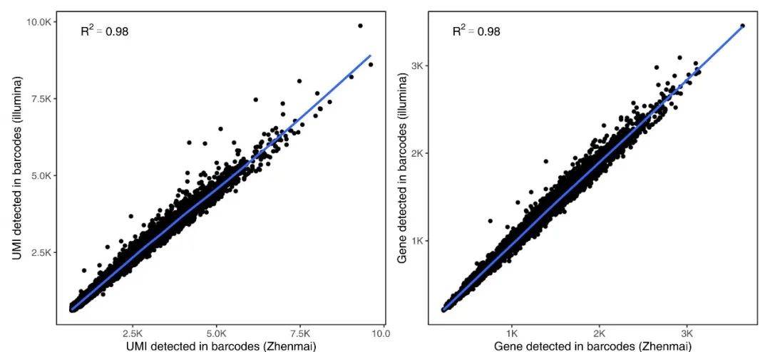 真迈生物联合达普生物发布肿瘤单细胞转录组评测数据