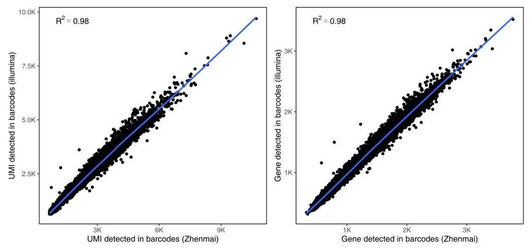 真迈生物联合达普生物发布肿瘤单细胞转录组评测数据