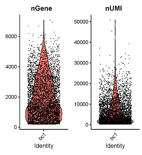 发布 || 百创DG1000单细胞Demo数据更新