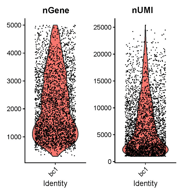 发布 || 百创DG1000单细胞Demo数据更新