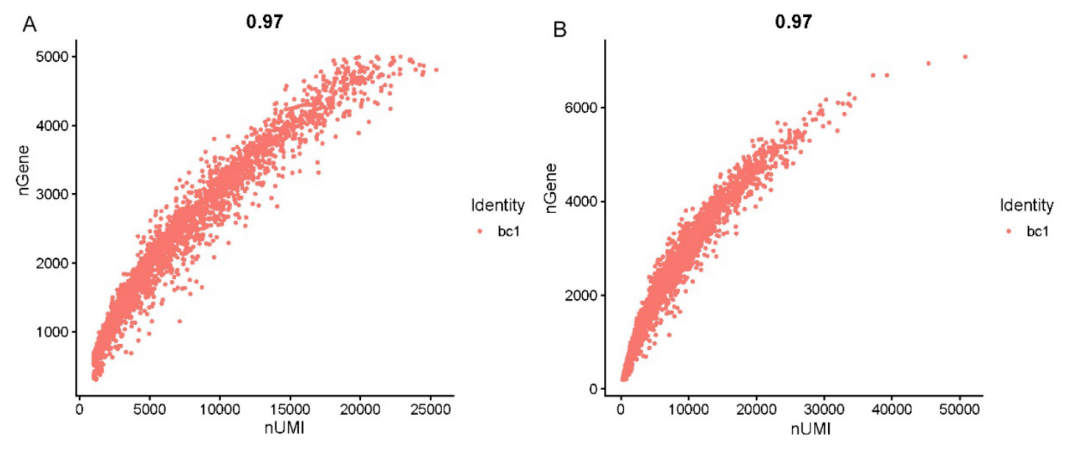 发布 || 百创DG1000单细胞Demo数据更新