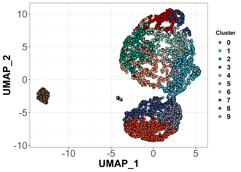 发布 || 百创DG1000单细胞Demo数据更新