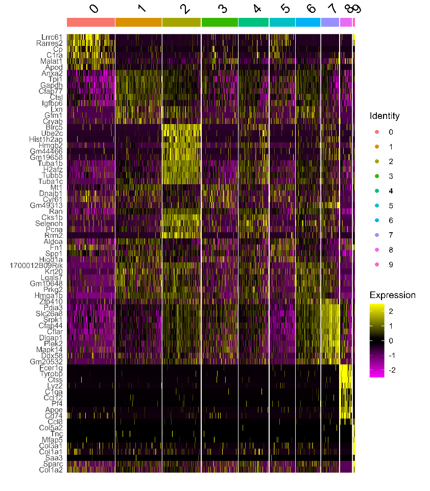 发布 || 百创DG1000单细胞Demo数据更新