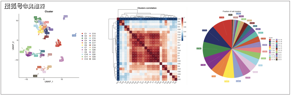 奥维森科技：新增10x Genomics单细胞测序<strong></p>
<p>UMI</strong>，一如既往优质服务！