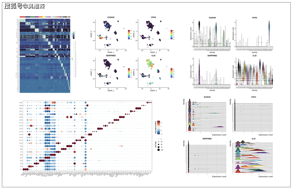 奥维森科技：新增10x Genomics单细胞测序<strong></p>
<p>UMI</strong>，一如既往优质服务！