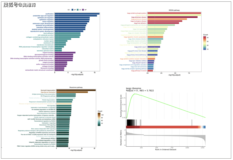 奥维森科技：新增10x Genomics单细胞测序<strong></p>
<p>UMI</strong>，一如既往优质服务！