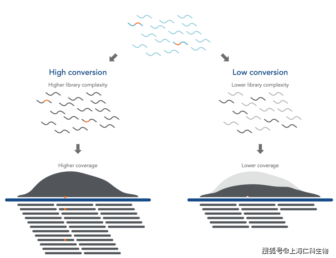 困难样本如何建立高复杂度文库<strong></p>
<p>UMI</strong>?