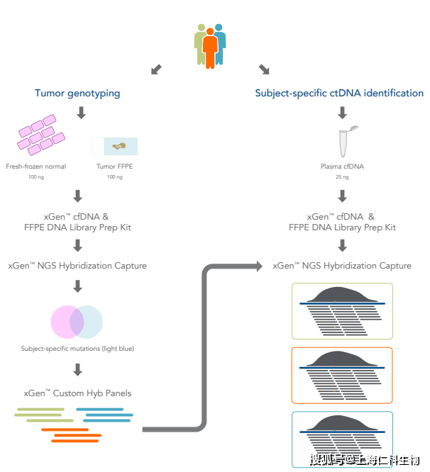 困难样本如何建立高复杂度文库<strong></p>
<p>UMI</strong>?