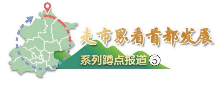 走市界看首都发展 | 一条喜被的故事