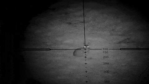 新西兰这里野兔数量“爆炸”<strong></p>
<p>兔子币</strong>，各种奇招都在用！钱越花越多，没有一招能根治……