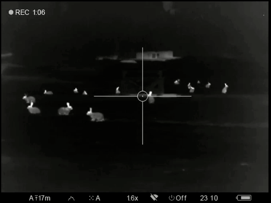 新西兰这里野兔数量“爆炸”<strong></p>
<p>兔子币</strong>，各种奇招都在用！钱越花越多，没有一招能根治……