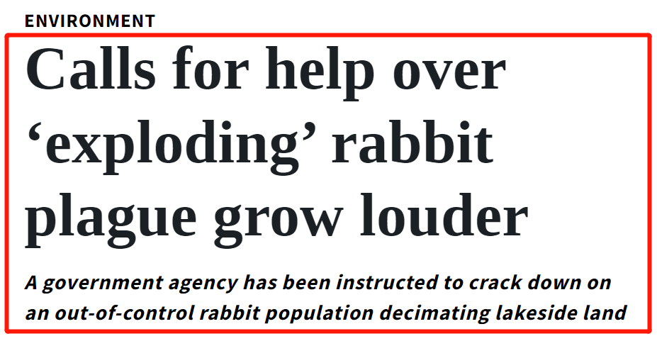 新西兰这里野兔数量“爆炸”<strong></p>
<p>兔子币</strong>，各种奇招都在用！钱越花越多，没有一招能根治……