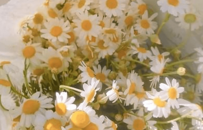 7月28日起正财运强，大赚，财神爷不断撒钱，3生肖事业生意“双红双紫”