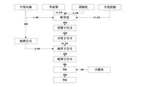 中曼石油天然气集团股份有限公司2022年度报告摘要