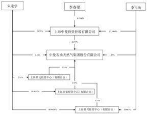 中曼石油天然气集团股份有限公司2022年度报告摘要