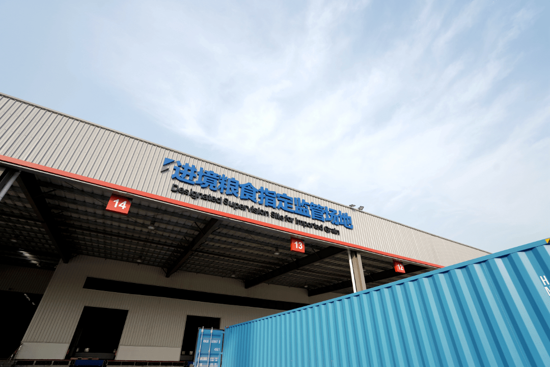 通过验收<strong></p>
<p>原油进口资质</strong>!果园港成为重庆首个具备直接进口粮食资质的口岸