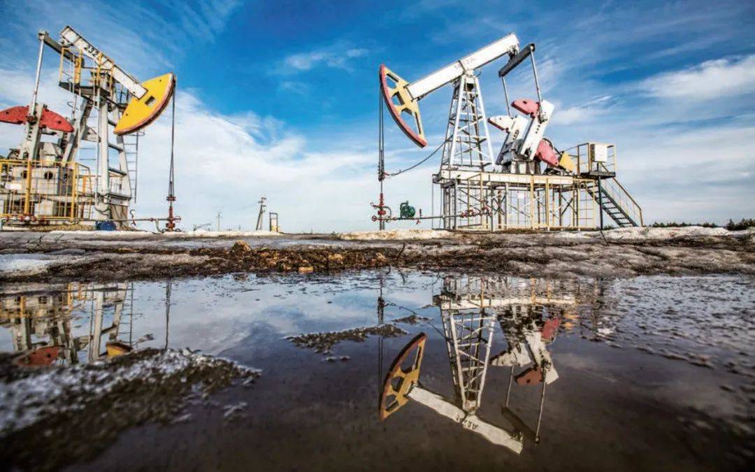 谁在购买俄罗斯能源<strong></p>
<p>天然原油</strong>?