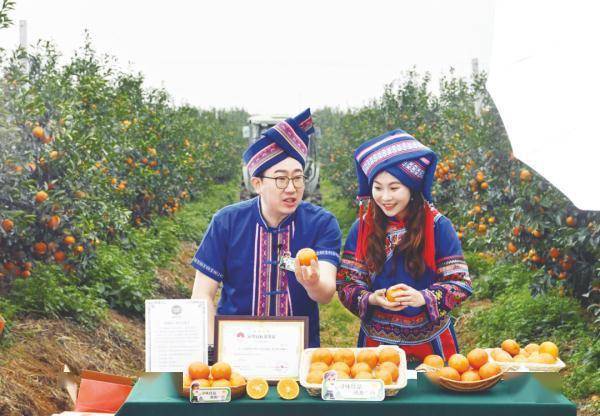 广西南宁“小砂糖橘”火出圈的背后原来有这样的故事……