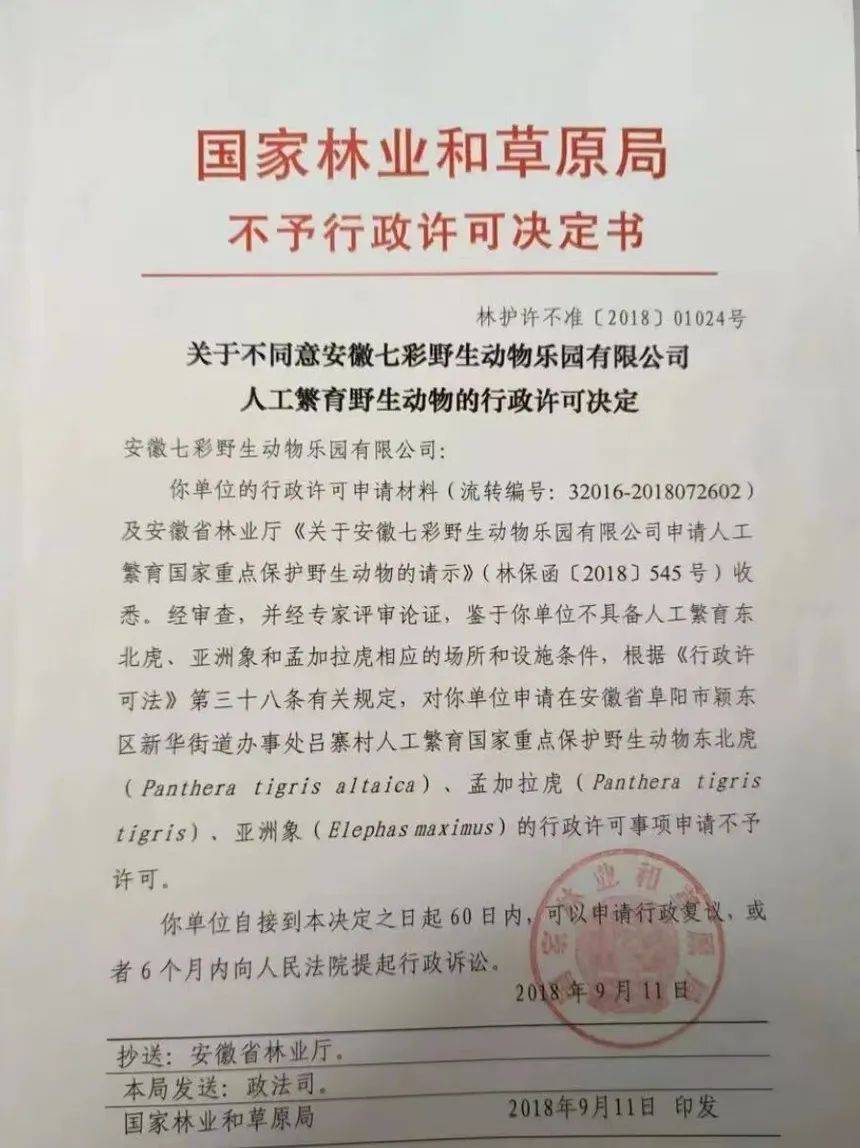 网曝一野生动物园20只东北虎死亡 官方回应：成立调查组全面调查