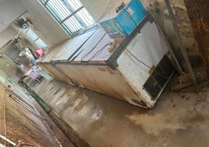 网曝一野生动物园20只东北虎死亡 官方回应:成立调查组全面调查