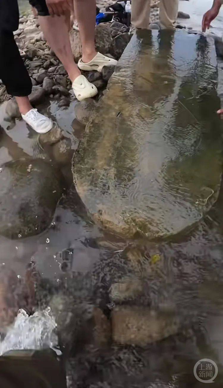 “当时就无心钓鱼了<strong></p>
<p>巴币特</strong>！”河南钓友在洛阳附近“钓”到古碑？文保部门回应