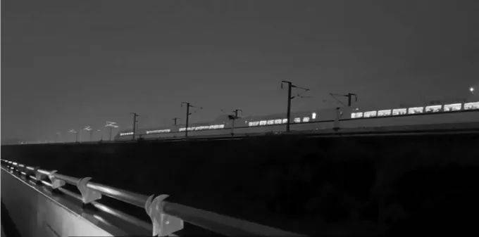 野猪侵入高铁联络线与列车相撞，此类事故如何避免？