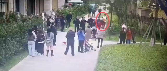 官方通报：执法人员张某（男，35岁）被停职